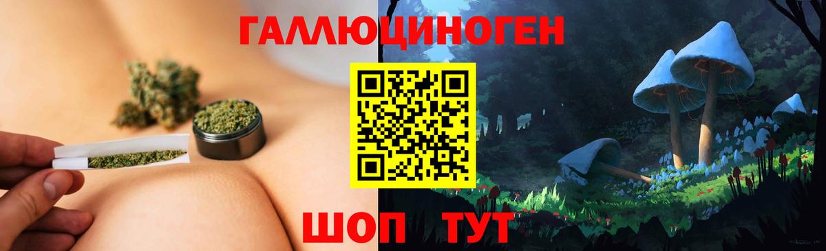 Галлюциногенные грибы мухоморы Сегежа